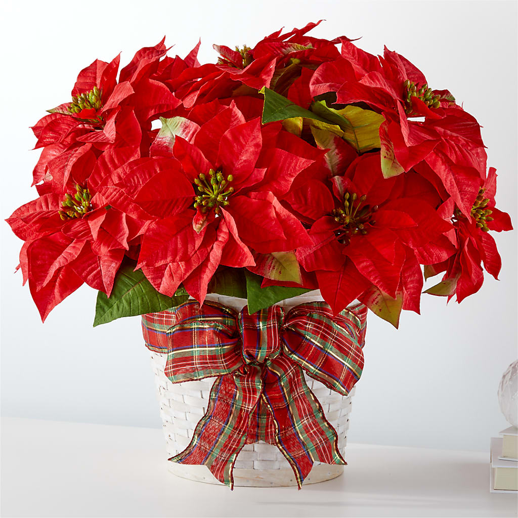 Happiest Holidays Poinsettia – Semper Fi Florist, Oceanside CA