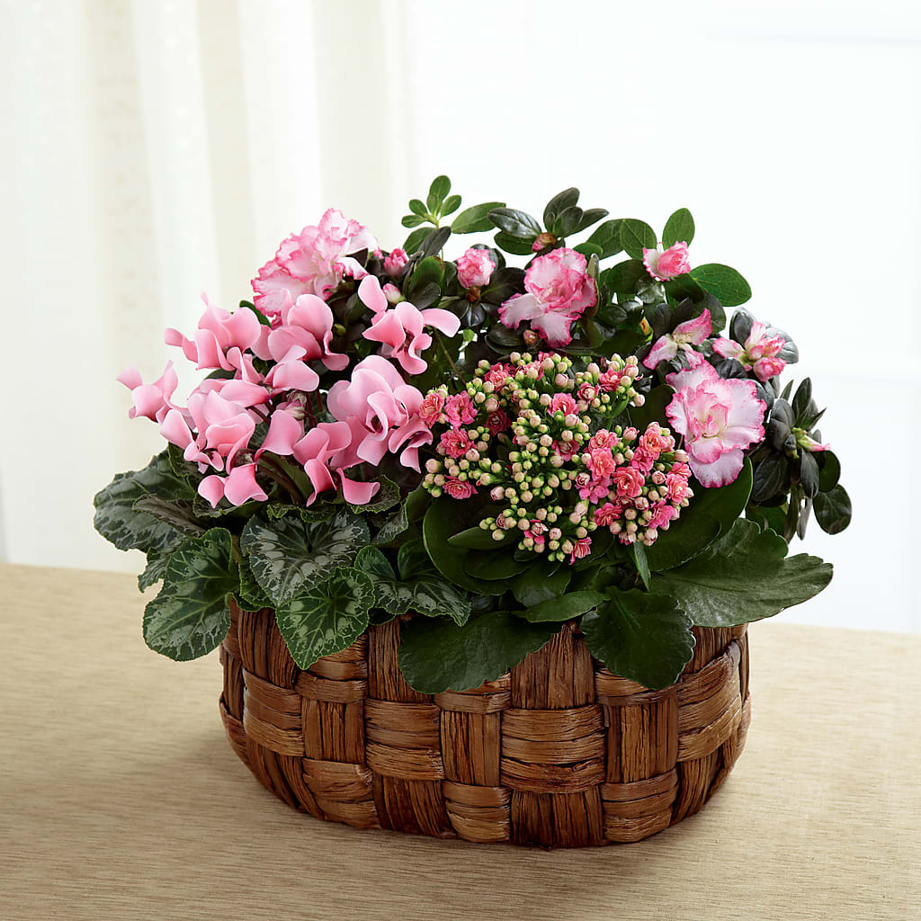 Pink Assortment – Semper Fi Florist, Oceanside CA
