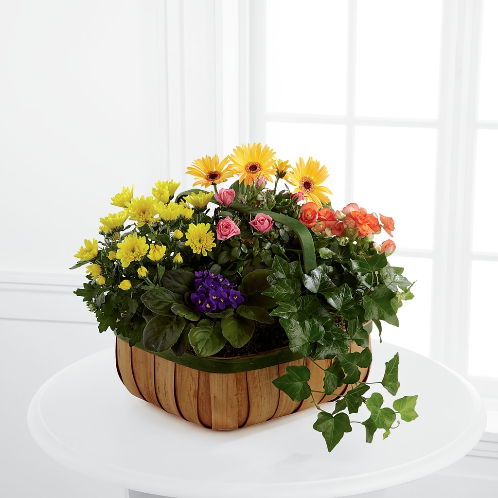 Gentle Blossoms Basket – Semper Fi Florist, Oceanside CA