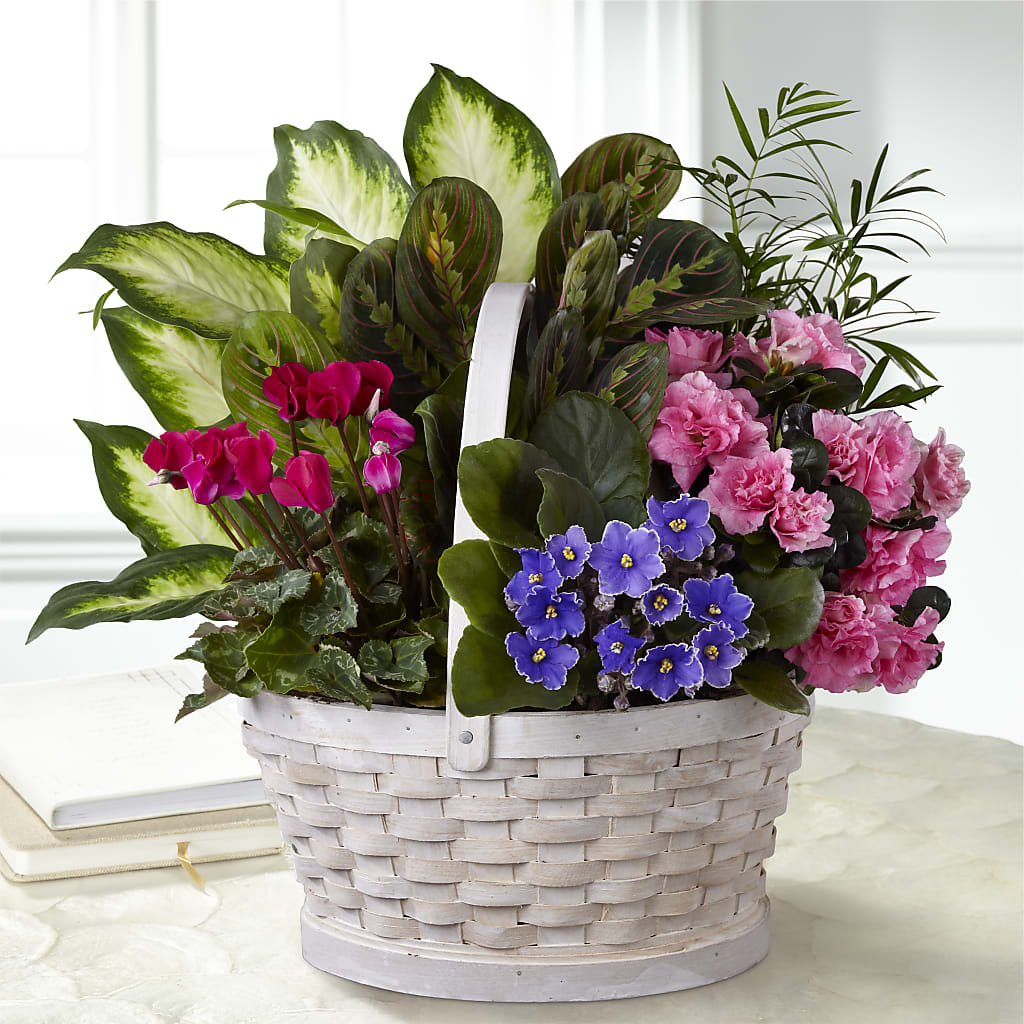 Peaceful Garden Planter – Semper Fi Florist, Oceanside CA
