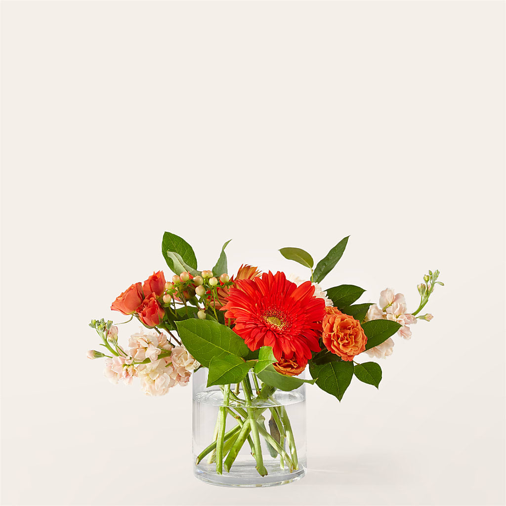 Paloma Please Bouquet – Semper Fi Florist, Oceanside CA