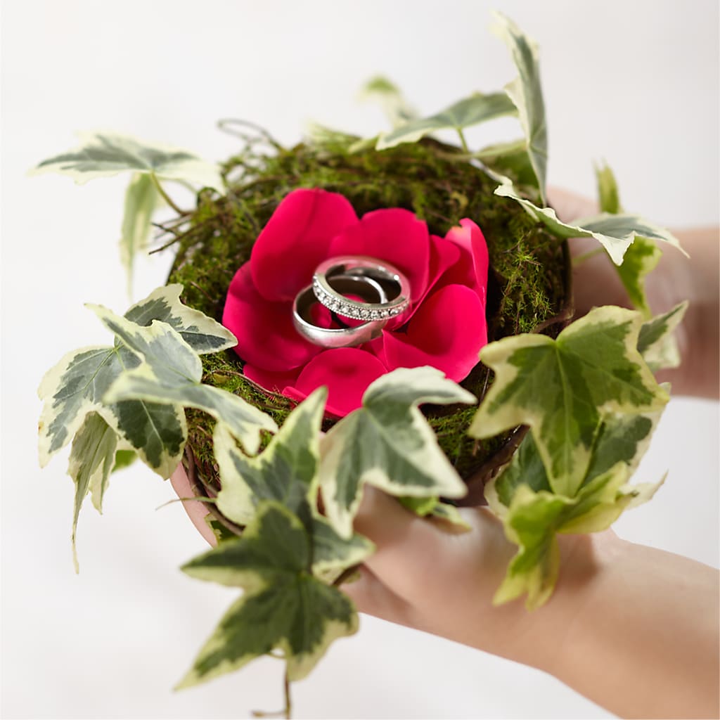 Lila Rose Ring Nest – Semper Fi Florist, Oceanside CA