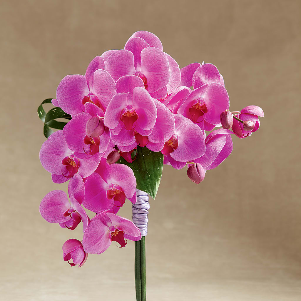 Glorious Bouquet – Semper Fi Florist, Oceanside CA