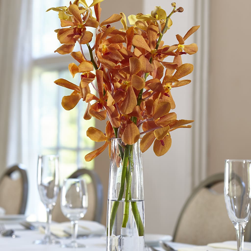 Orange Mokara Bud Vase – Semper Fi Florist, Oceanside CA