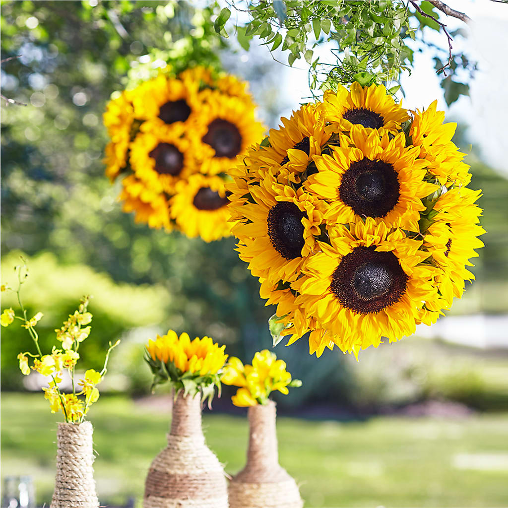 Sublime Garden Hanging Arrangement – Semper Fi Florist, Oceanside CA