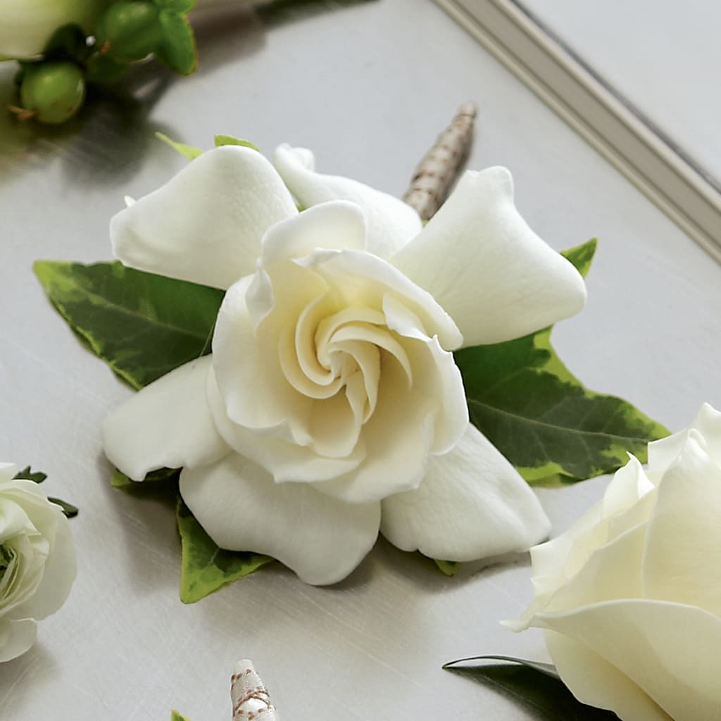 Gardenia Boutonniere – Semper Fi Florist, Oceanside CA