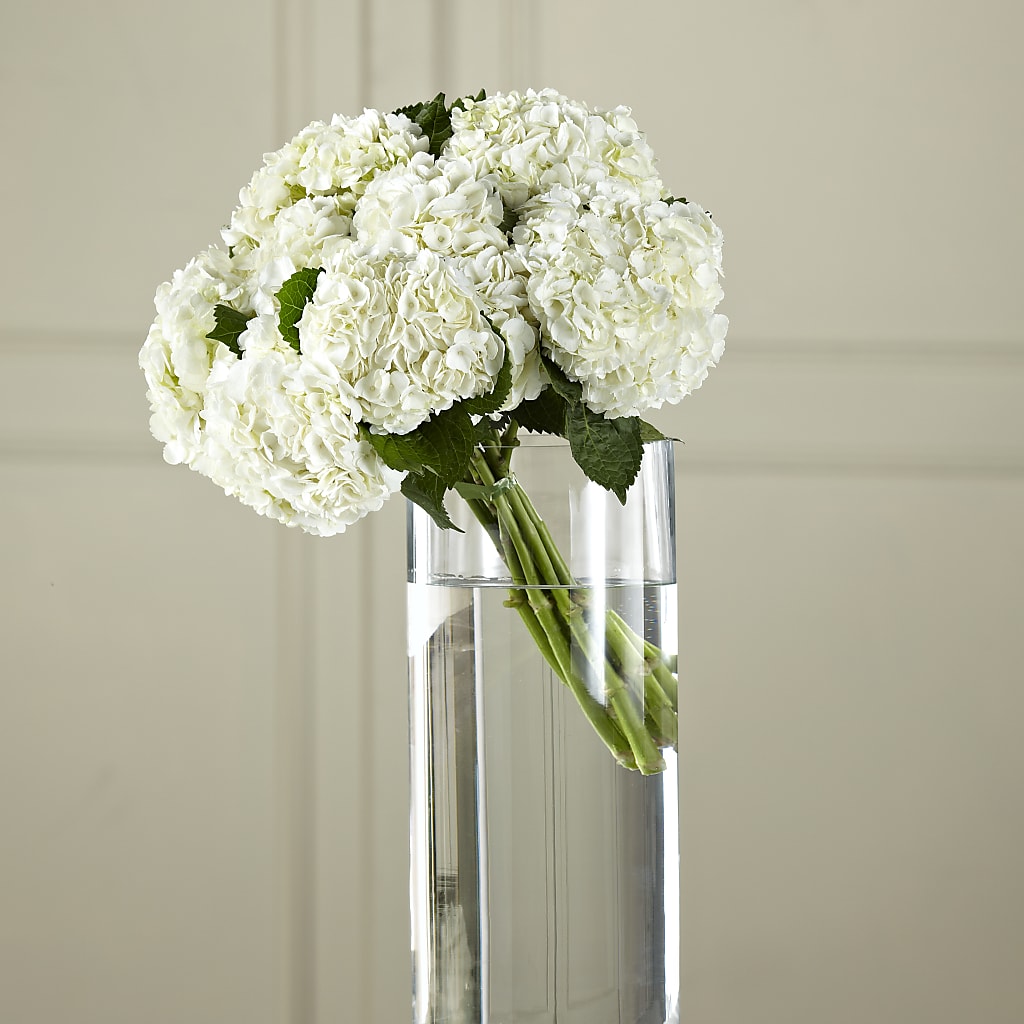 White Hydrangea Hand-Tied Bouquet – Semper Fi Florist, Oceanside CA
