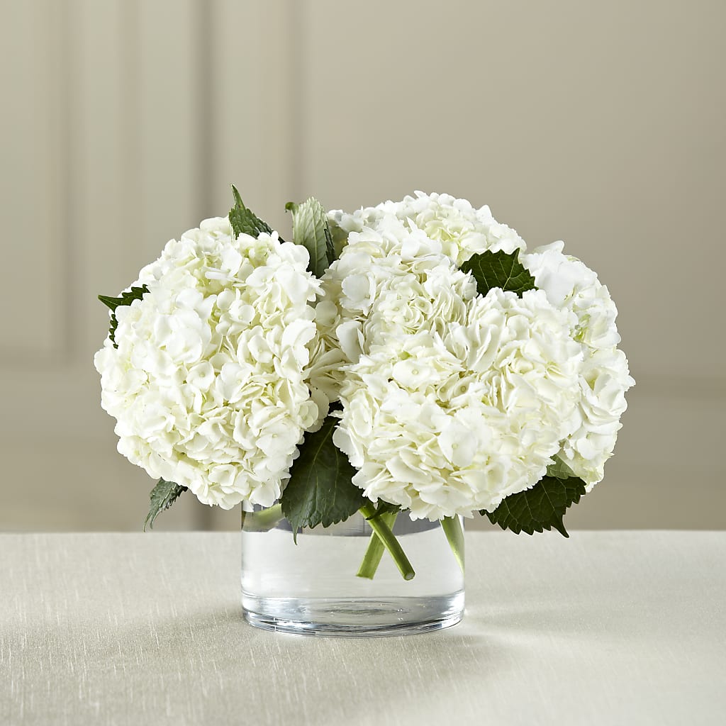 White Hydrangea Bouquet – Semper Fi Florist, Oceanside CA