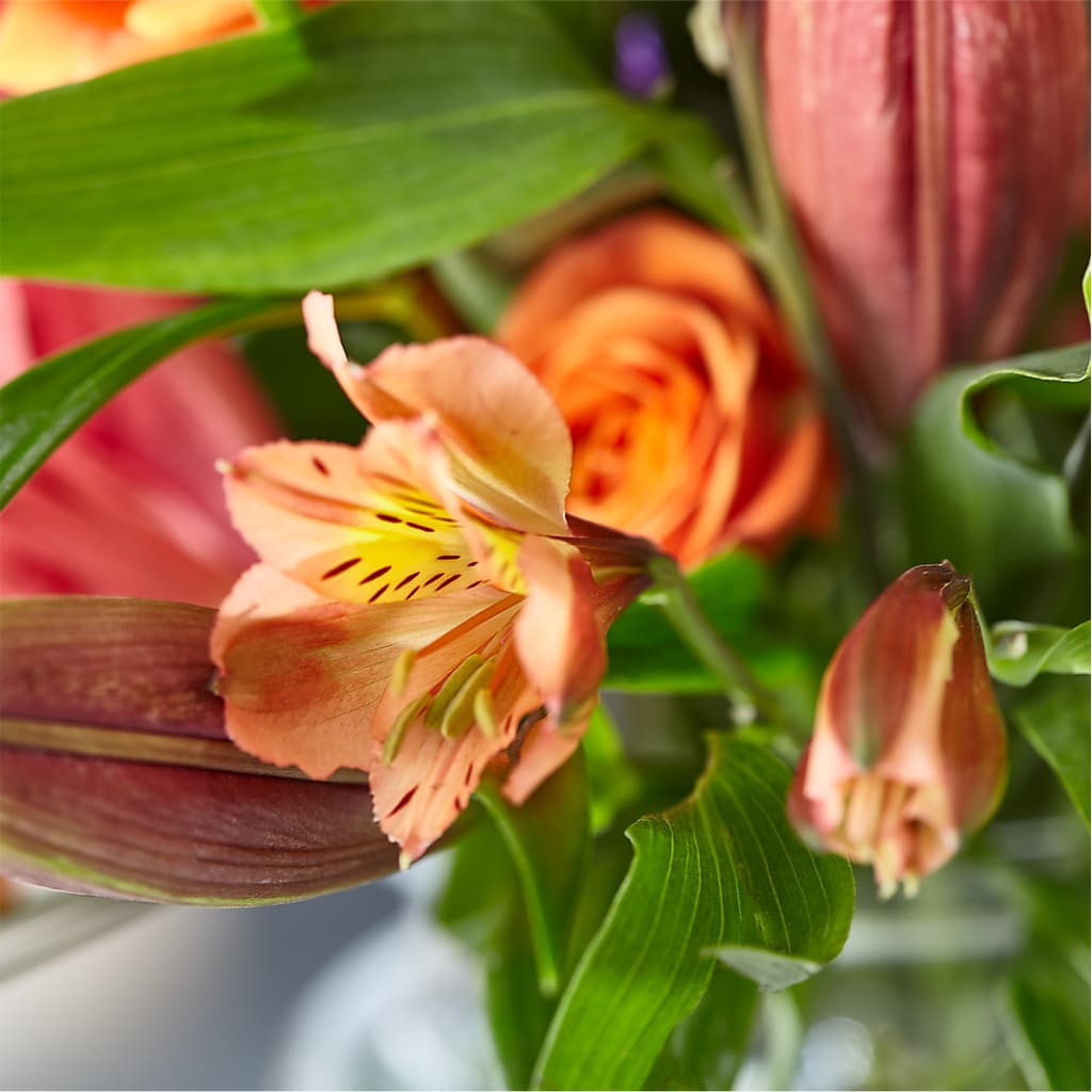 Bold & Bright – A Florist Original –  Semper Fi Florist, Oceanside CA