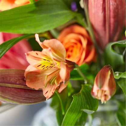 Bold & Bright – A Florist Original –  Semper Fi Florist, Oceanside CA