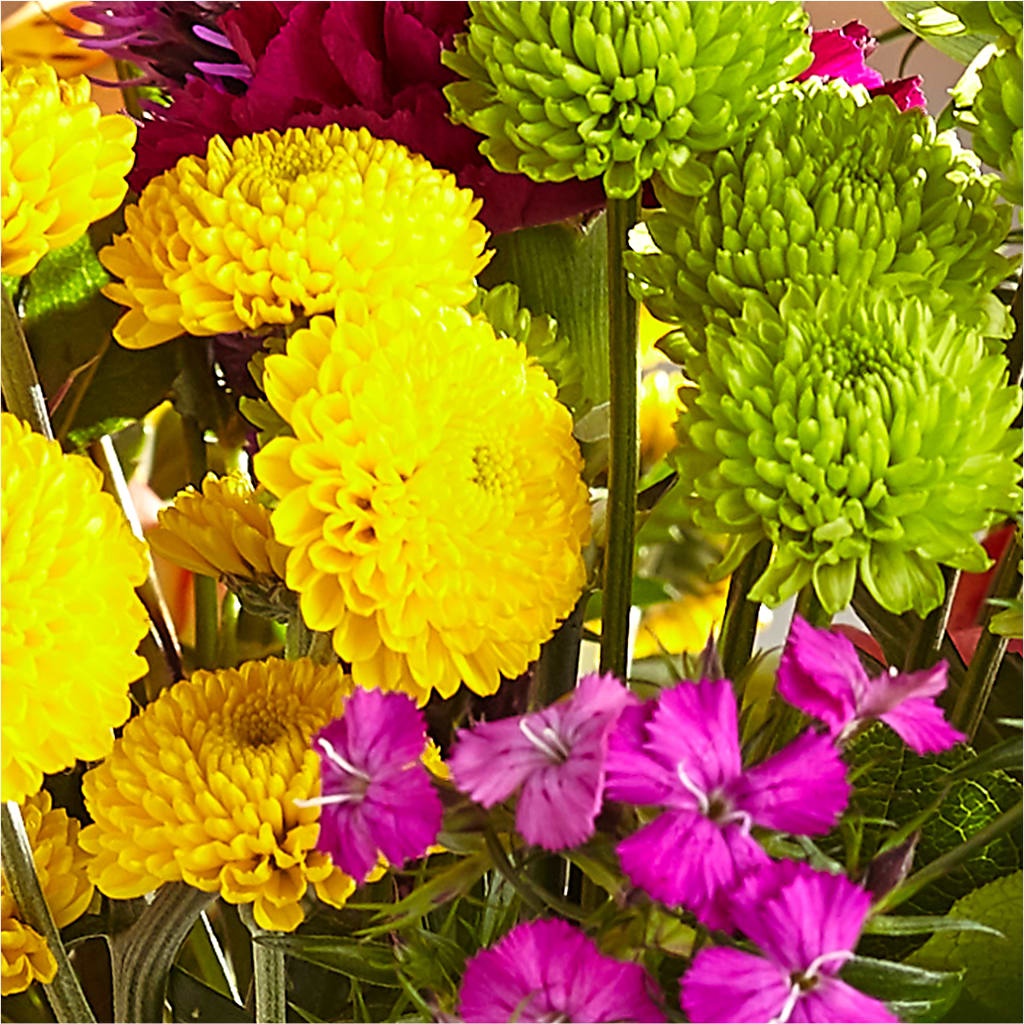 Bold & Bright – A Florist Original –  Semper Fi Florist, Oceanside CA