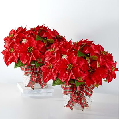 Happiest Holidays Poinsettia Bundle –  Semper Fi Florist, Oceanside CA