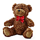 Adorable Plush Bear –  Semper Fi Florist, Oceanside CA