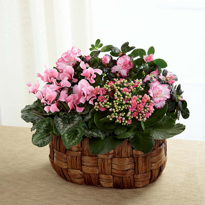 Pink Assortment –  Semper Fi Florist, Oceanside CA