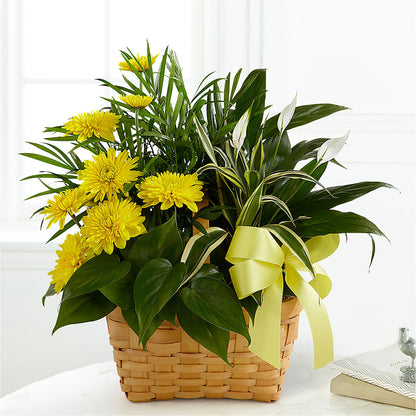 Loving Light Dishgarden –  Semper Fi Florist, Oceanside CA