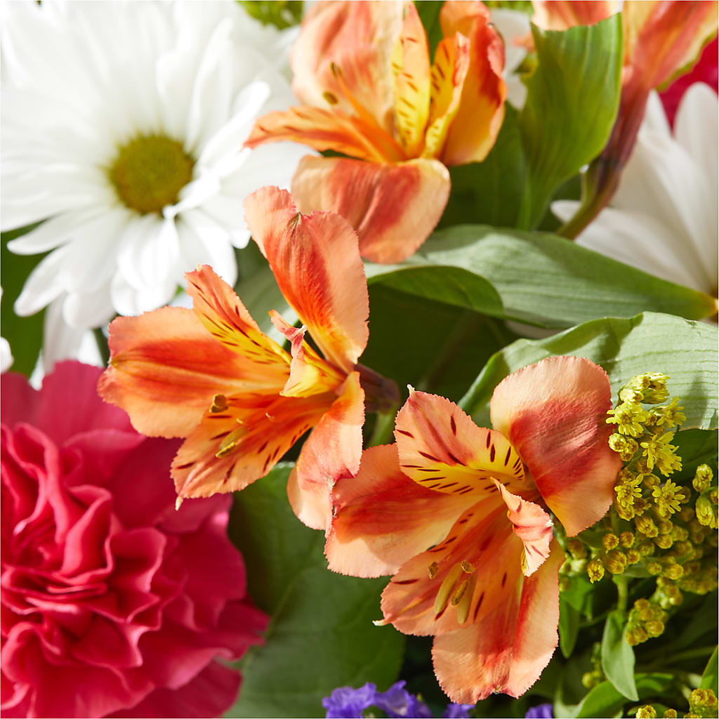 Oopsie Daisy Box Bouquet –  Semper Fi Florist, Oceanside CA