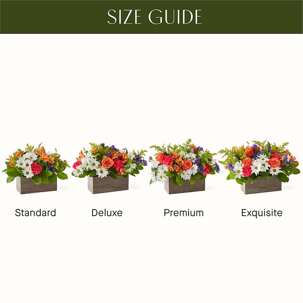 Oopsie Daisy Box Bouquet –  Semper Fi Florist, Oceanside CA