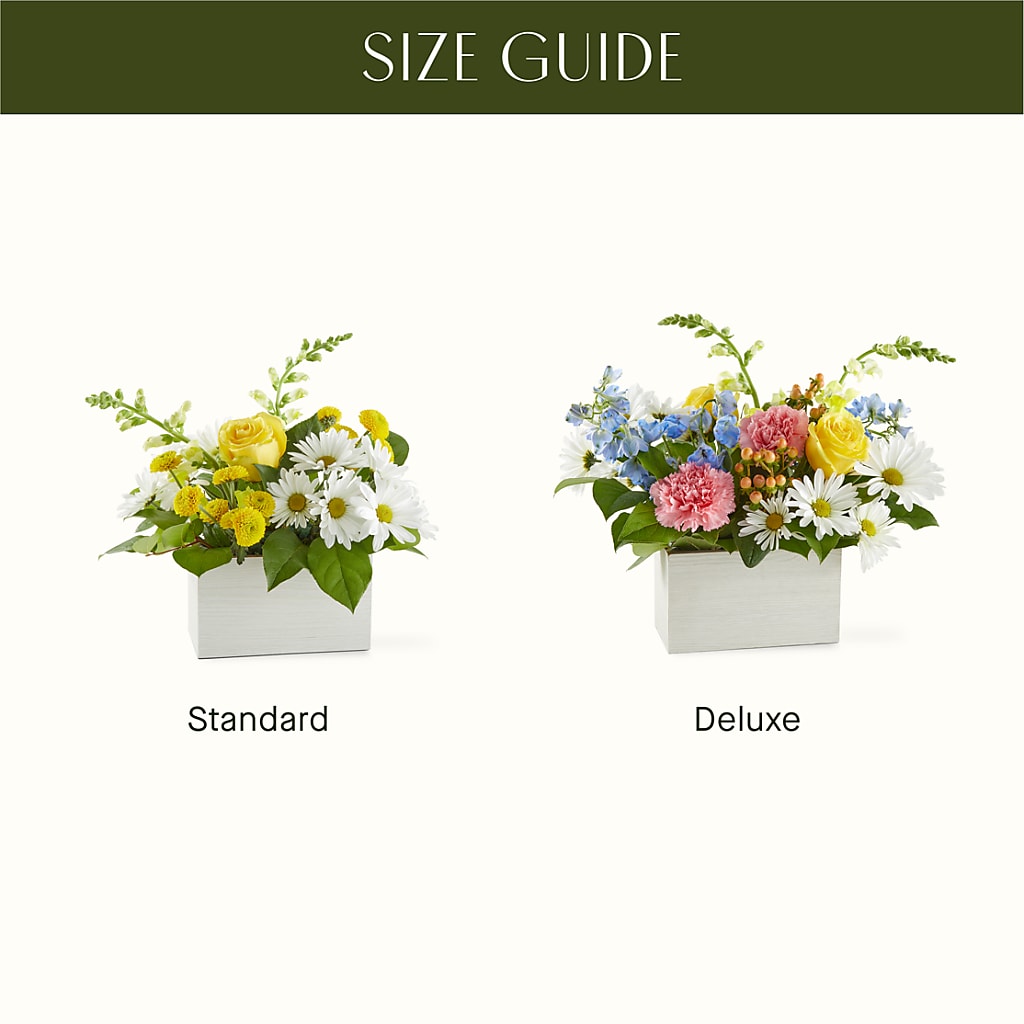 Sun Salutation Box Bouquet –  Semper Fi Florist, Oceanside CA
