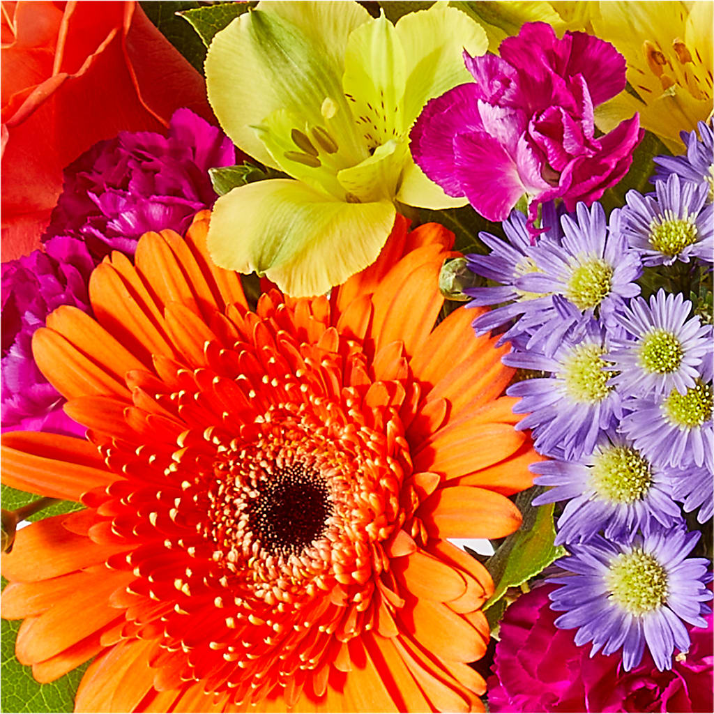 Tricks & Treats Pumpkin –  Semper Fi Florist, Oceanside CA