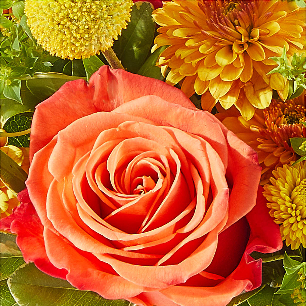 Gourdgeous Pumpkin –  Semper Fi Florist, Oceanside CA