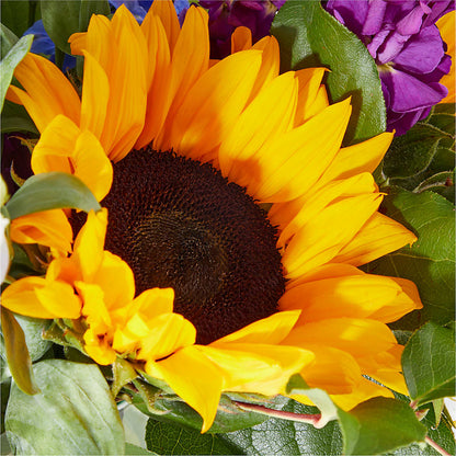Catching Rays Bouquet –  Semper Fi Florist, Oceanside CA