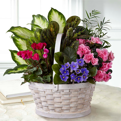 Peaceful Garden Planter –  Semper Fi Florist, Oceanside CA