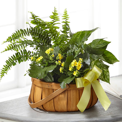 Always Dear Dishgarden –  Semper Fi Florist, Oceanside CA