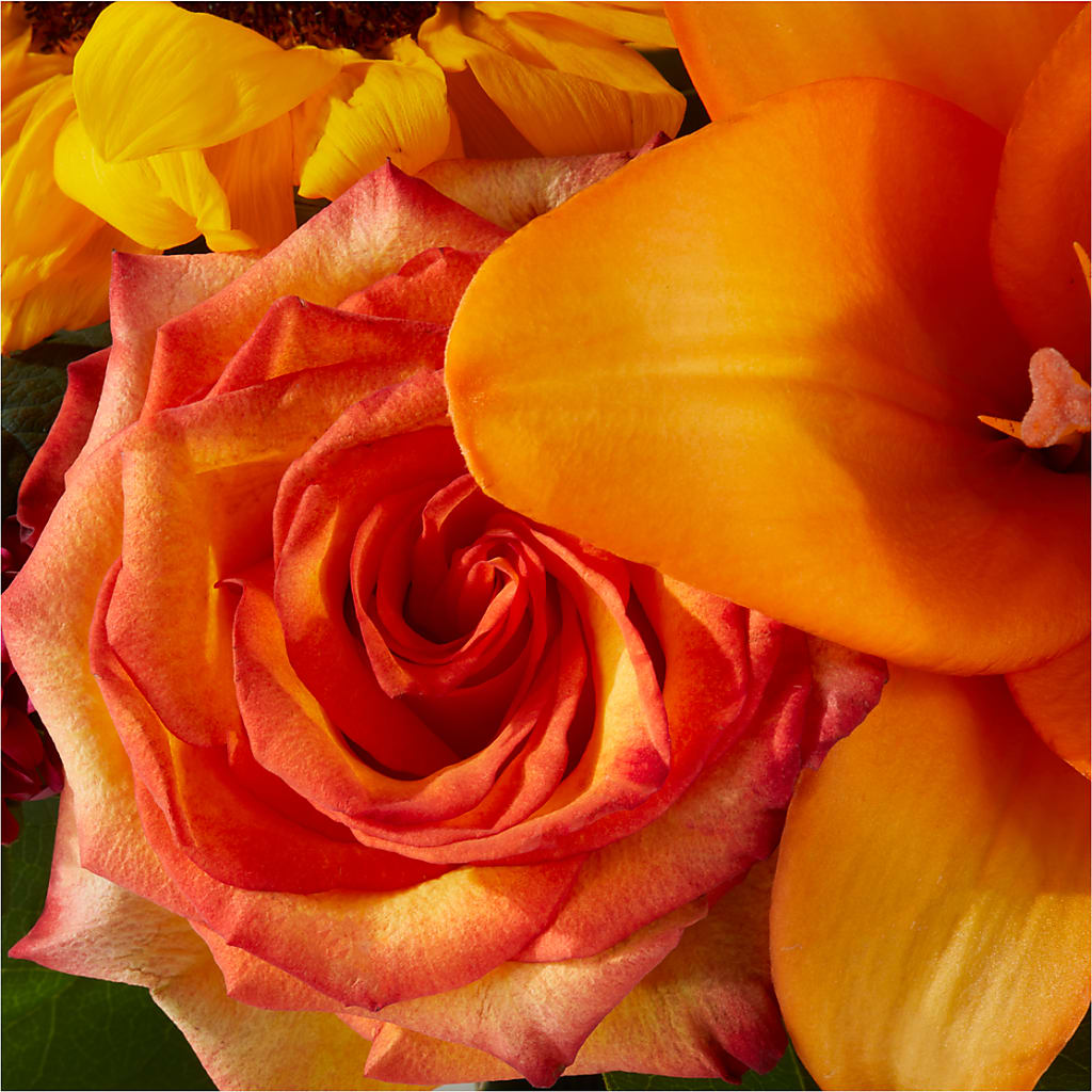 Grateful Centerpiece –  Semper Fi Florist, Oceanside CA