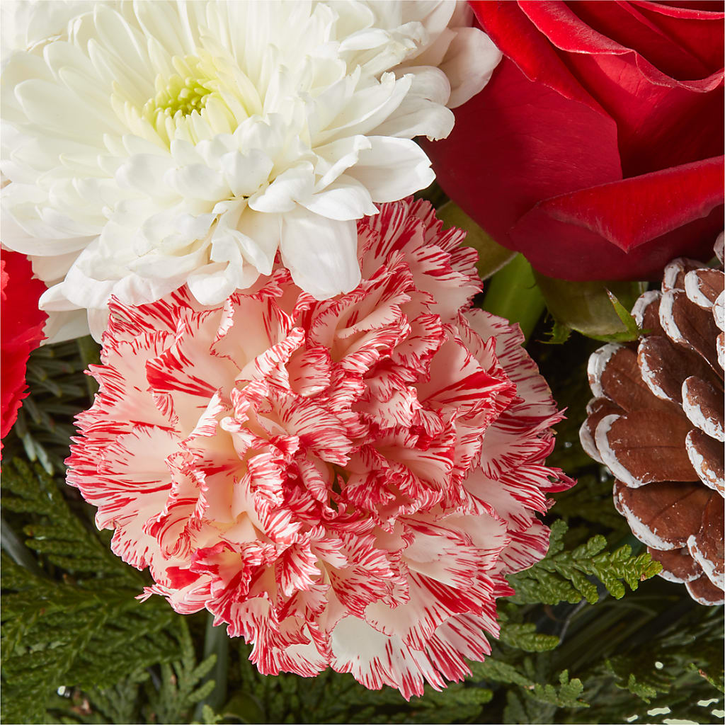 Candy Cane Lane Bouquet –  Semper Fi Florist, Oceanside CA