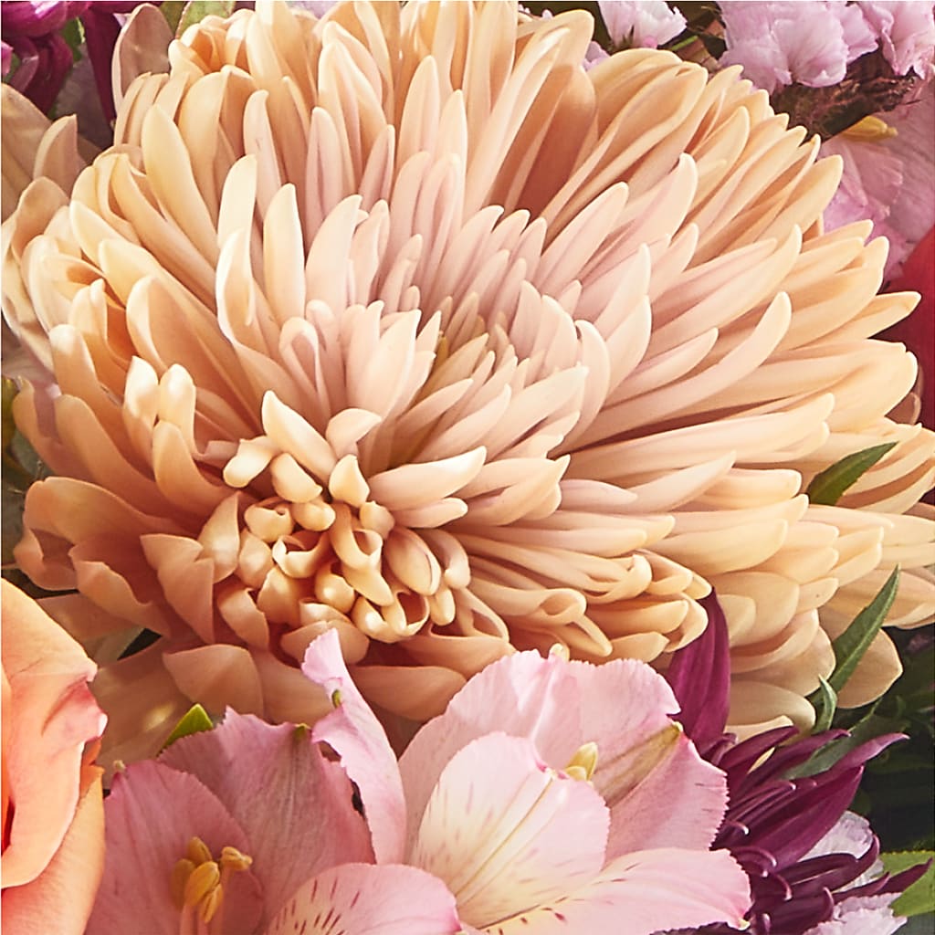 Berry Cobbler Bouquet –  Semper Fi Florist, Oceanside CA