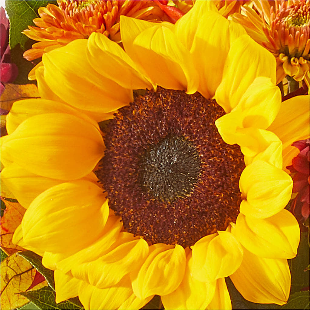 Sunny Side Bouquet –  Semper Fi Florist, Oceanside CA