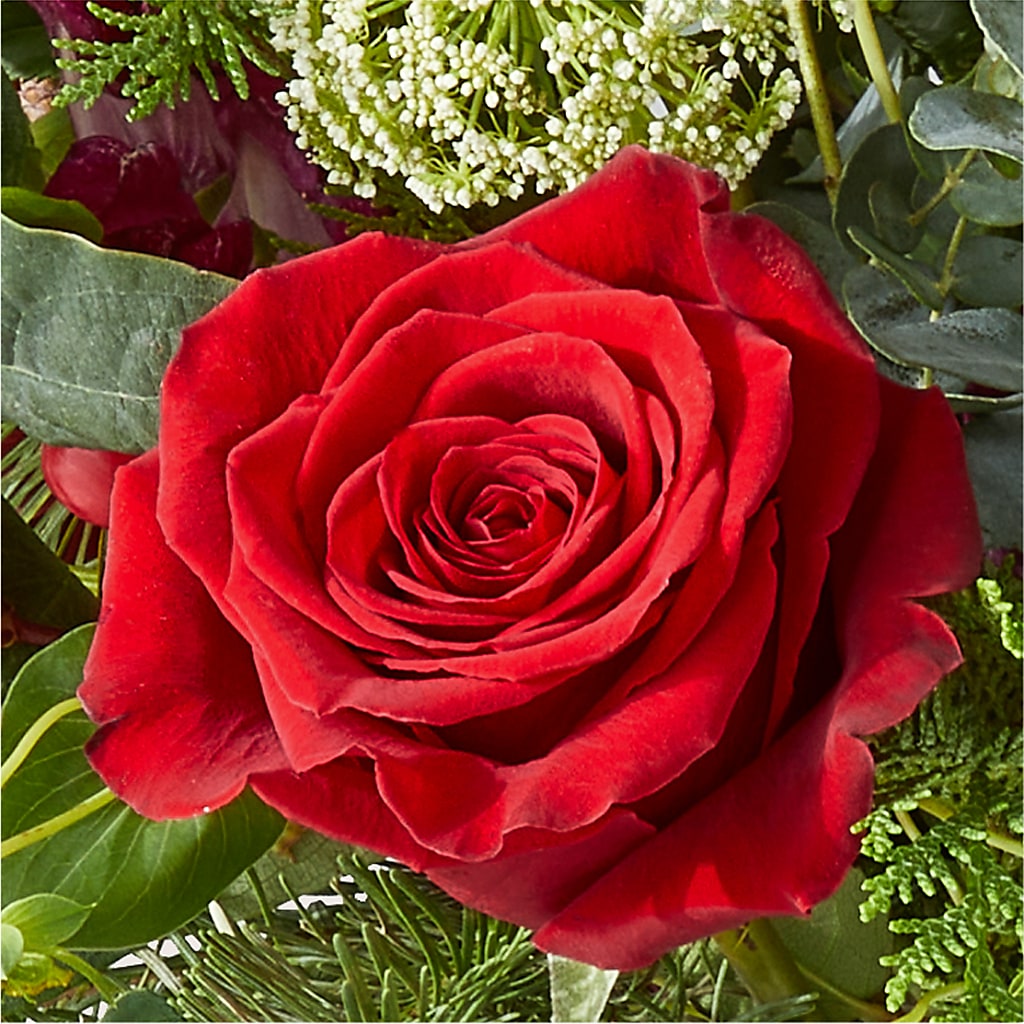 Cranberry Fizz Bouquet –  Semper Fi Florist, Oceanside CA