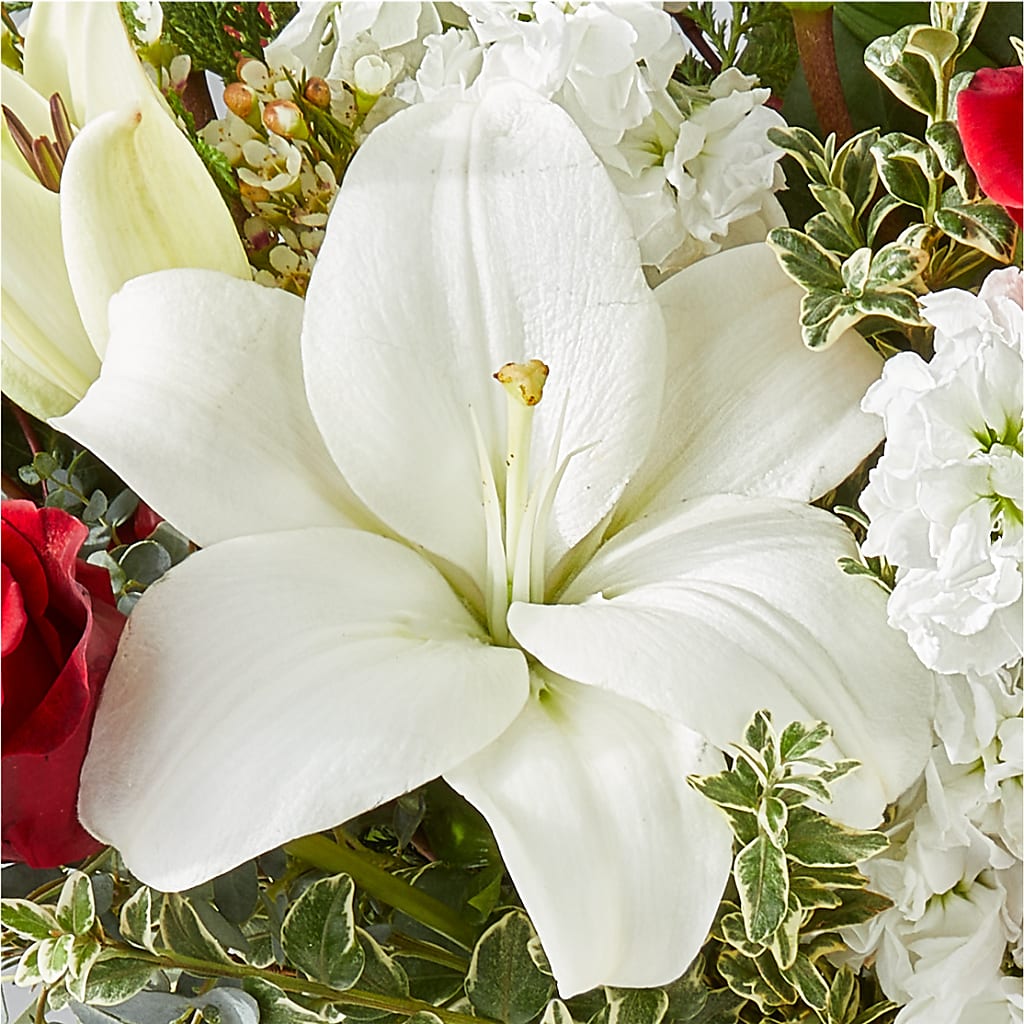 Twinkle Lights Bouquet –  Semper Fi Florist, Oceanside CA