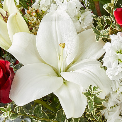 Twinkle Lights Bouquet –  Semper Fi Florist, Oceanside CA