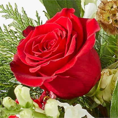 Deck the Halls Bouquet –  Semper Fi Florist, Oceanside CA