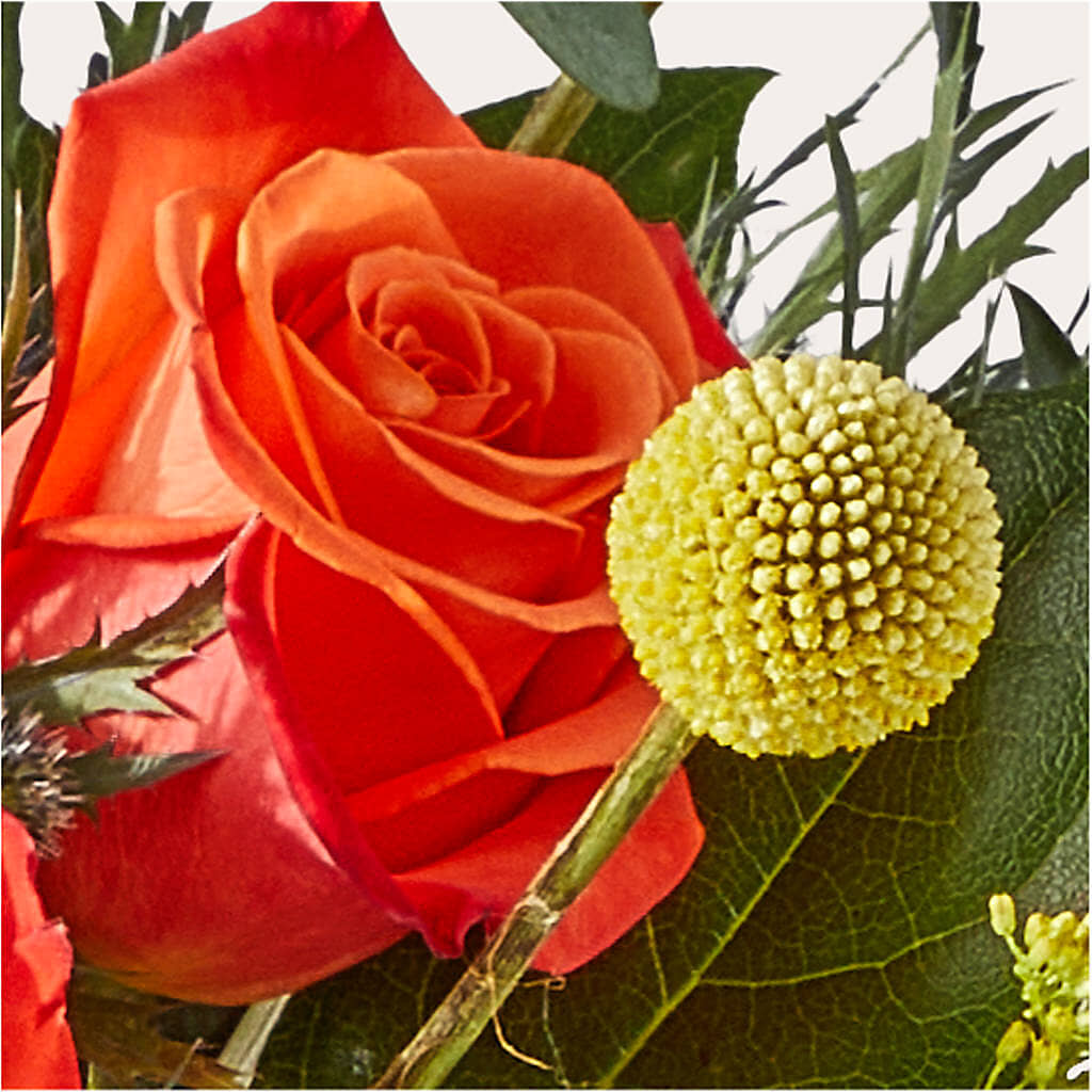 Disco Bouquet –  Semper Fi Florist, Oceanside CA