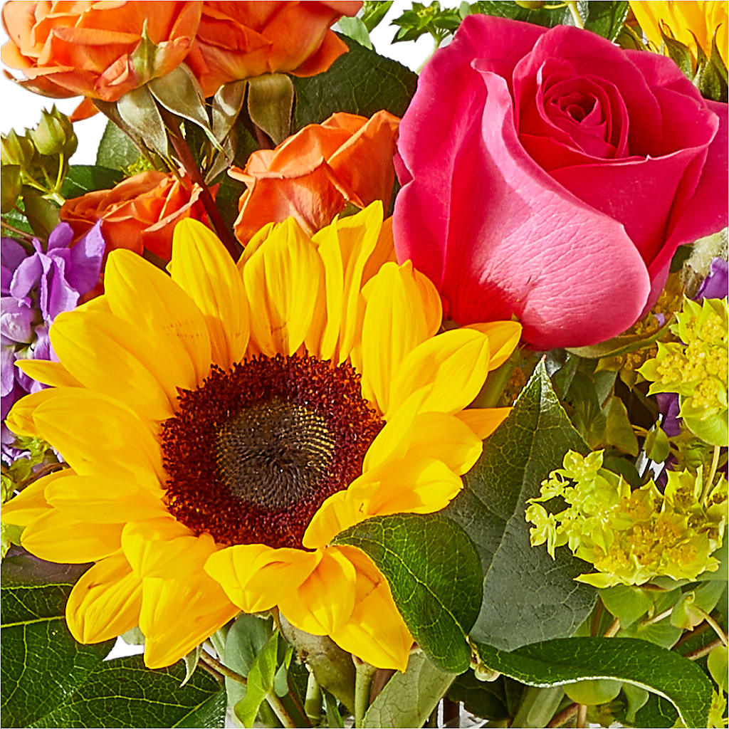 Vibrant Greetings Bouquet –  Semper Fi Florist, Oceanside CA