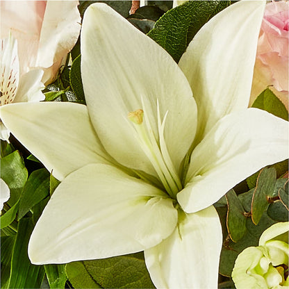 Ballet Slippers Bouquet –  Semper Fi Florist, Oceanside CA