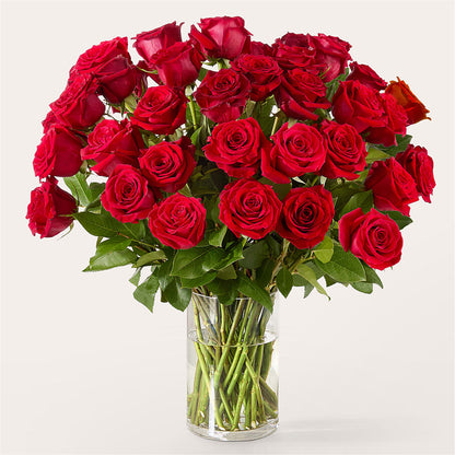 The One Red Rose Bouquet –  Semper Fi Florist, Oceanside CA