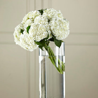 White Hydrangea Hand-Tied Bouquet –  Semper Fi Florist, Oceanside CA